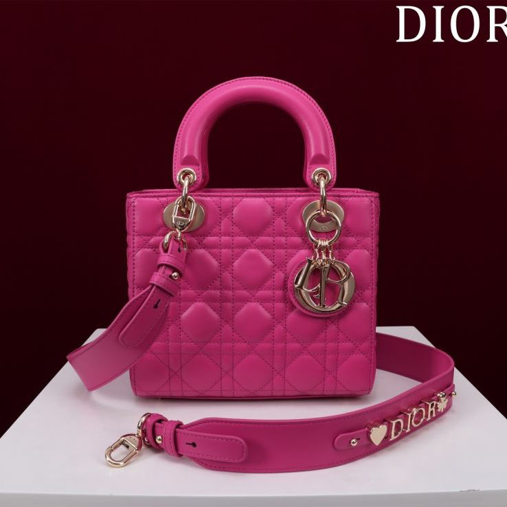 chr1st1an D10r my lady bags